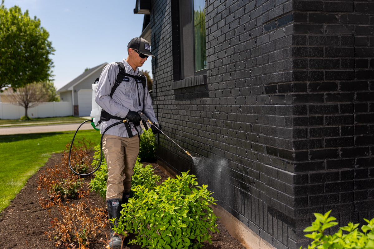 Professional pest control products discount